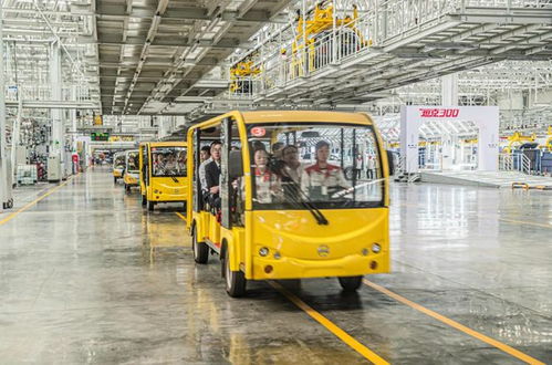 先看后试再下单，长城汽车工厂直销特卖会狂收订单572台